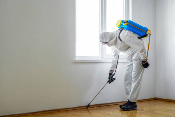 Professional Pest control in Buna, TX